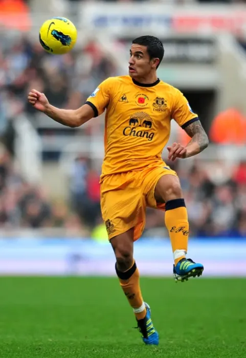 Framed Print : Tim Cahill's Thrilling Goal: Everton's Premier League Victory Over Newcastle United (November 2011) Framed Print : Tim Cahill's Thrilling Goal: Everton's Premier League Victory Over Newcastle United (November 2011)