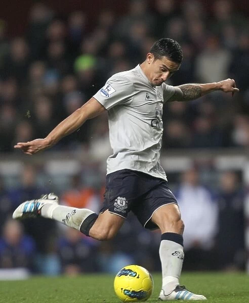 Tim Cahill's Thrilling Goal: Everton's Victory at Aston Villa (Premier League, 14 January 2012)