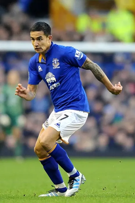 Framed Print : Tim Cahill's Thunderbolt: Everton's Epic Goal vs. Blackburn Rovers, Barclays Premier League (Goodison Park)