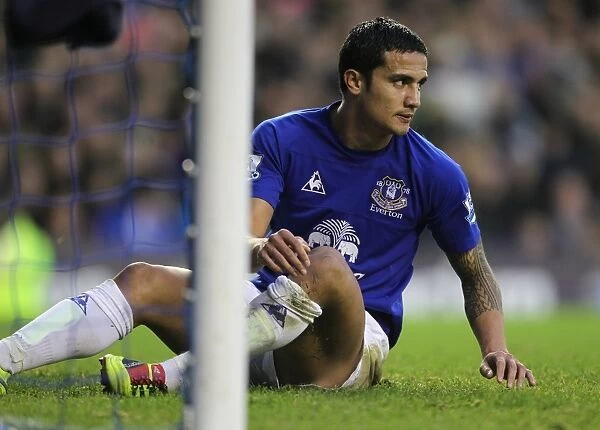 Tim Cahill's Thunderbolt: Everton's Unforgettable Victory Over Wigan Athletic (11 December 2010, Goodison Park)