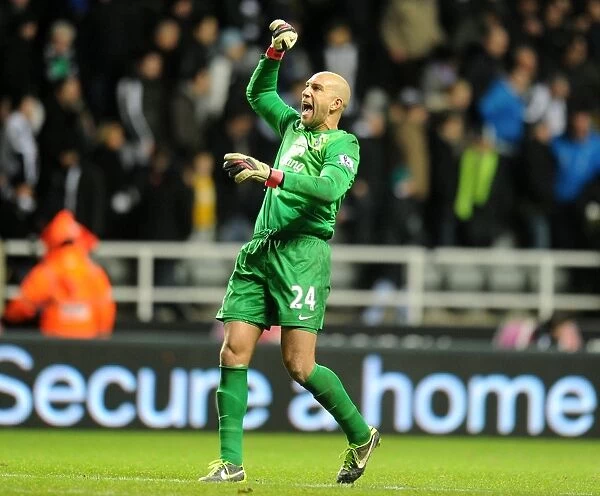 Tim Howard's Triumph: Everton's Thrilling 2-1 Victory at Newcastle United (BPL, 2013)