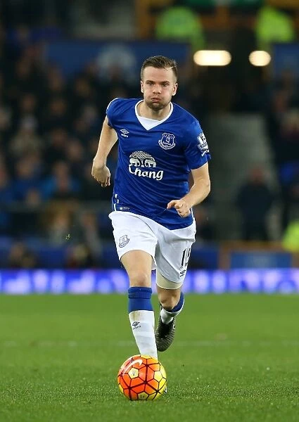 Tom Cleverley in Action: Everton vs Crystal Palace, Barclays Premier League - Goodison Park