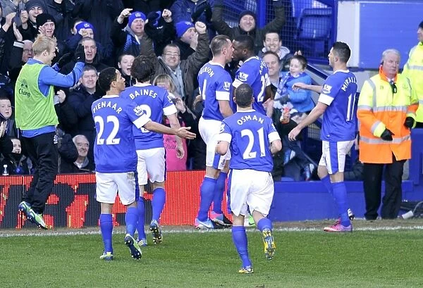 Victor Anichebe's Dramatic Goal: Thrilling 3-3 Draw for Everton against Aston Villa (02-02-2013, Goodison Park)
