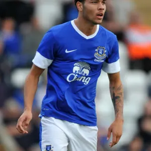 Anton Forrester Print - Everton Globe Arena Photo