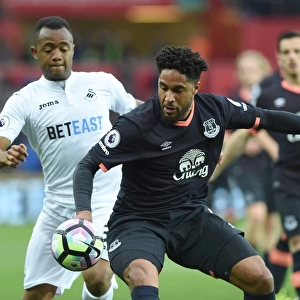 Ayew vs. Williams: Intense Battle at Liberty Stadium - Swansea City vs. Everton, Premier League 2016-17