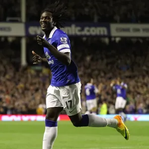 Barclays Premier League - Everton v Newcastle United - Goodison Park Barclays Premier League - Everton v Newcastle United - Goodison Park