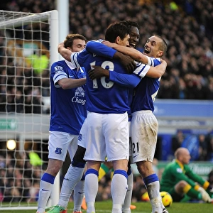 Premier League Collection: Everton 2 v Norwich City 0 : Goodison Park : 11-01-2014