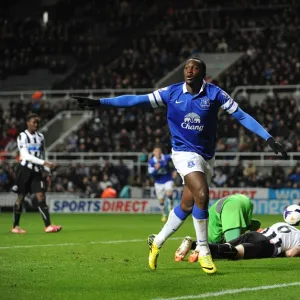 Barclays Premier League - Newcastle United v Everton - St James Park