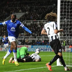Barclays Premier League - Newcastle United v Everton - St James Park Barclays Premier League - Newcastle United v Everton - St James Park