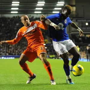 Battle for the Ball: Everton's Intense Tussle with Swansea City's Ashley Richards and Louis Saha