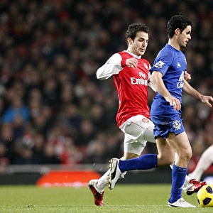 Premier League Photographic Print Collection: 01 February 2011 Arsenal v Everton