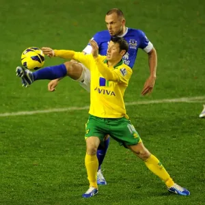 Battle for the Ball: Heitinga vs. Hoolahan - Everton vs. Norwich City, Premier League (1-1), Goodison Park (November 24, 2012) Battle for the Ball: Heitinga vs. Hoolahan - Everton vs. Norwich City, Premier League (1-1), Goodison Park (November 24, 2012)