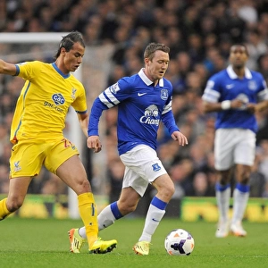 Battle for the Ball: McGeady vs. Chamakh - Everton vs. Crystal Palace, Premier League Rivalry (16-04-2014)