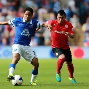 Battle for the Ball: Pienaar vs. Medel - Everton vs. Cardiff City, Premier League (31-08-2013) Battle for the Ball: Pienaar vs. Medel - Everton vs. Cardiff City, Premier League (31-08-2013)