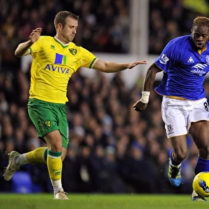 Battle for the Ball: Saha vs. Fox at Goodison Park - Everton vs. Norwich City, Premier League (17 December 2011)