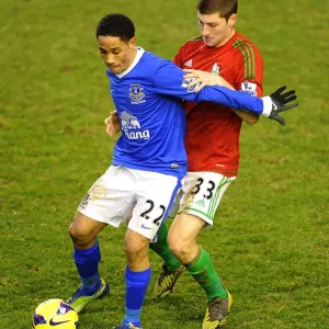Premier League Prints: Everton 0 V Swansea City 0 : Goodison Park : 12-01-2013
