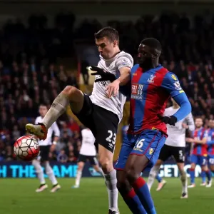 Battle for Supremacy: Seamus Coleman vs. Bakary Sako at Selhurst Park - Crystal Palace vs. Everton, Barclays Premier League Battle for Supremacy: Seamus Coleman vs. Bakary Sako at Selhurst Park - Crystal Palace vs. Everton, Barclays Premier League