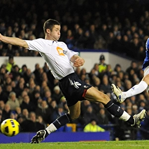 Bilyaletdinov vs. Cahill: A Tense Goal-line Clash at Goodison Park - Everton vs. Bolton Wanderers (10 November 2010)