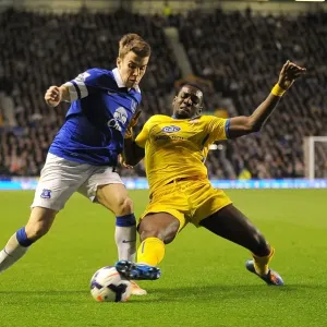 Bolasie vs. Coleman: A Thrilling Battle as Crystal Palace Edge Past Everton in Premier League (16-04-2014)