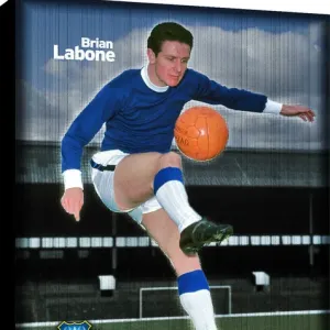 Brian Labone Duo Retro Canvas