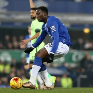 Disallowed Goal: Romelu Lukaku's Controversial Effort vs Manchester City - Capital One Cup Semi-Final, First Leg (Everton vs Manchester City) Disallowed Goal: Romelu Lukaku's Controversial Effort vs Manchester City - Capital One Cup Semi-Final, First Leg (Everton vs Manchester City)