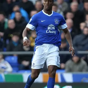 Premier League Prints: Everton 1 V Fulham 0 : Goodison Park : 27-04-2013