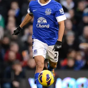 Dramatic Equalizer: Steven Pienaar Rescues Everton at Craven Cottage (3-11-2012) Dramatic Equalizer: Steven Pienaar Rescues Everton at Craven Cottage (3-11-2012)