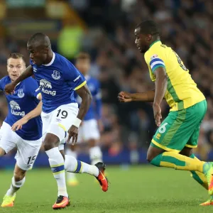 EFL Cup Poster Print Collection: EFL Cup - Third Round - Everton v Norwich City - Goodison Park