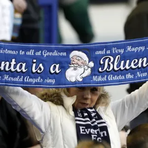 Everton FC: A Fan's Excitement at Goodison Park Before the Everton vs Wigan Athletic (BPL, 11 December 2010)