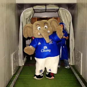 Everton FC vs Brisbane Roar: Chang the Elephant's Debut - Pre-Season Friendly at Suncorp Stadium Everton FC vs Brisbane Roar: Chang the Elephant's Debut - Pre-Season Friendly at Suncorp Stadium
