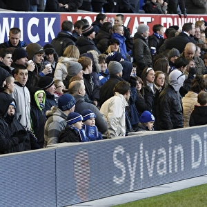 Everton FC vs. West Bromwich Albion: Sylvain Distin's Intense Focus at Goodison Park - Barclays Premier League