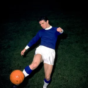 Everton Football Club: Brian Labone Leading the Charge in Division One Everton Football Club: Brian Labone Leading the Charge in Division One