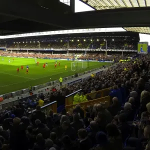Everton vs. Cardiff City: Barclays Premier League Clash at Goodison Park - Everton Lead 2-1 Everton vs. Cardiff City: Barclays Premier League Clash at Goodison Park - Everton Lead 2-1