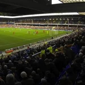 Everton vs. Cardiff City: A Battle in the Premier League at Goodison Park (15-03-2014): Everton Takes a 2-1 Victory Everton vs. Cardiff City: A Battle in the Premier League at Goodison Park (15-03-2014): Everton Takes a 2-1 Victory