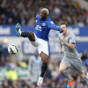 Everton vs Newcastle United Print, March 15, 2015