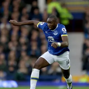 Everton vs Swansea City: A Premier League Showdown with Yannick Bolasie at Goodison Park Everton vs Swansea City: A Premier League Showdown with Yannick Bolasie at Goodison Park