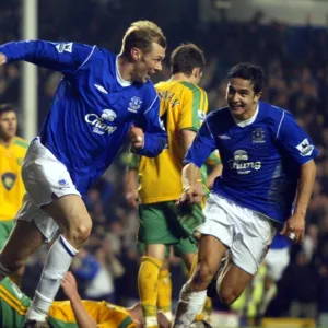 Season 04-05 Metal Print Collection: Everton 1 Norwich 0 02-02-05