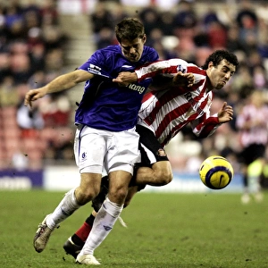 Everton's James Beattie vs. Sunderland's Julio Arca: A Football Rivalry