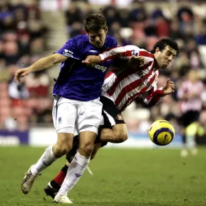 Everton's James Beattie vs. Sunderland's Julio Arca: A Football Rivalry Everton's James Beattie vs. Sunderland's Julio Arca: A Football Rivalry