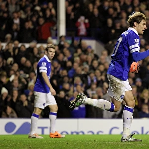 Everton's Jelavic Scores Hat-trick: Everton Crushes QPR 4-0 in FA Cup (2013-2014)