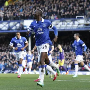 Everton FA Cup Fifth Round Print 16-02-2014 Everton FA Cup Fifth Round Print 16-02-2014