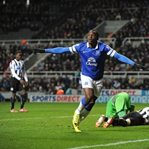 Everton's Lukaku Scores Brace: Crushing 3-0 Win Over Newcastle United (Premier League, St. James' Park, 25-03-2014)