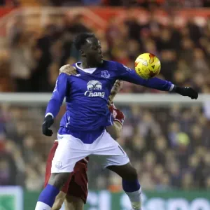 Capital One Cup Prints: Capital One Cup - Middlesbrough V Everton - Quarter Final - Riverside Stadium