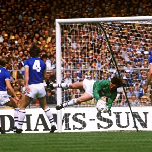 Everton's Neville Southall: FA Cup Final Hero - Denying Watford's Goal (1984)