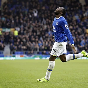 Everton's Romelu Lukaku Celebrates Scoring Four Goals Against Hull City at Goodison Park