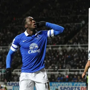 Evertons Romelu Lukaku celebrates scoring his sides second goal Evertons Romelu Lukaku celebrates scoring his sides second goal