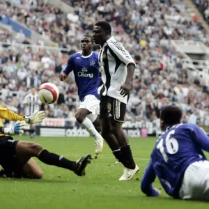 Evertons Tim Howard saves from Newcastles Obafemi Martins Evertons Tim Howard saves from Newcastles Obafemi Martins