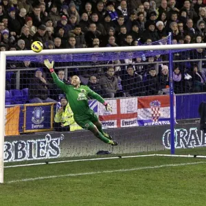 Everton's Tim Howard: A Spectacular Save Secures a 2-1 Victory Over West Bromwich Albion (BPL 2013) Everton's Tim Howard: A Spectacular Save Secures a 2-1 Victory Over West Bromwich Albion (BPL 2013)
