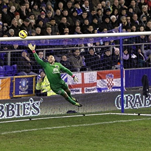 Everton's Tim Howard: A Spectacular Save Secures a 2-1 Victory Over West Bromwich Albion (BPL 2013)