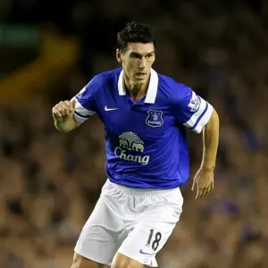 Everton's Triumph: Gareth Barry in Action (3-2) - Overcoming Newcastle United in the Barclays Premier League (30-09-2013) Everton's Triumph: Gareth Barry in Action (3-2) - Overcoming Newcastle United in the Barclays Premier League (30-09-2013)